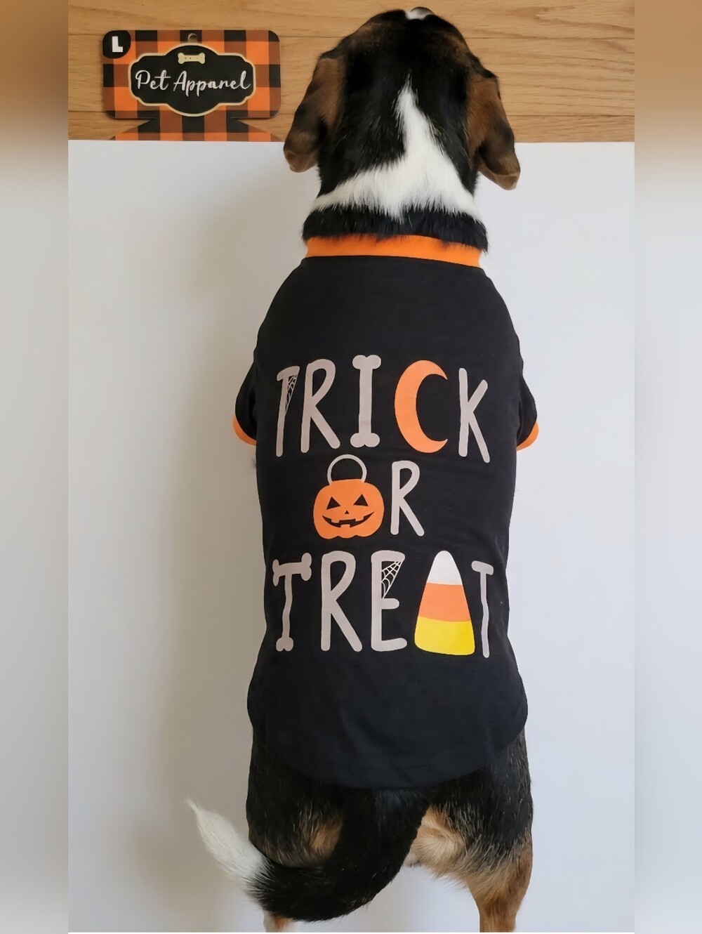Trick or Treat Dog Halloween Tee Costume NWT